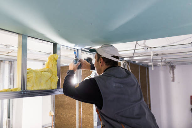 Best Eco-Friendly or Green Insulation Solutions  in Vineyard Haven, MA